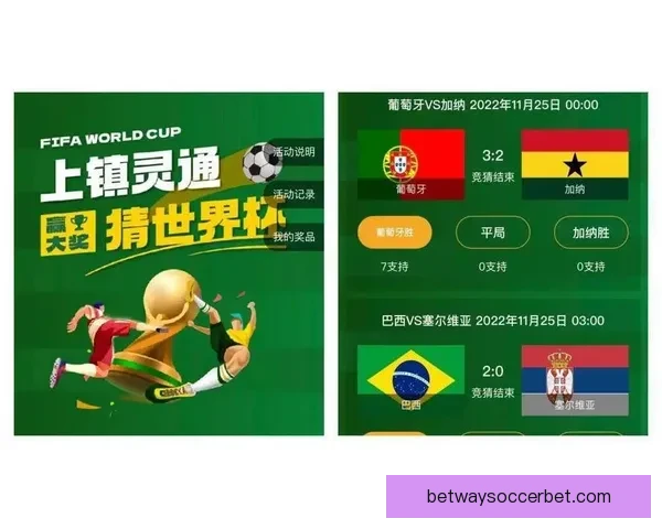 世界杯竞猜投注规则解析与投注技巧分享助您赢得更多奖励