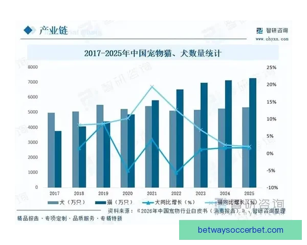 全面分析足球竞猜平台市场发展趋势与用户行为洞察
