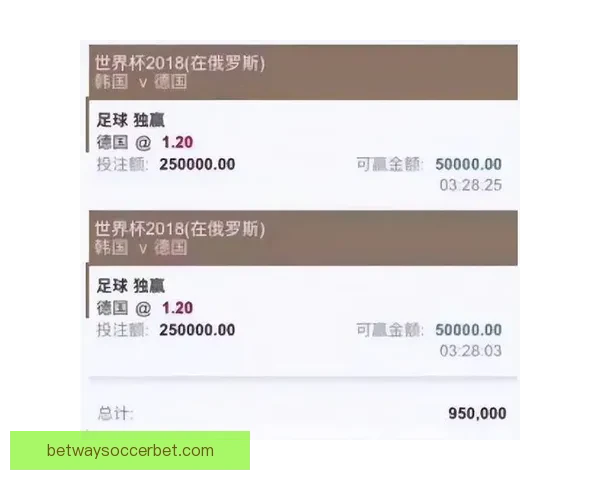世界杯竞猜高赔率平台推荐，让你轻松掌握投注技巧赢大奖