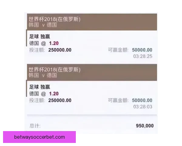 世界杯竞猜高赔率平台推荐，让你轻松掌握投注技巧赢大奖